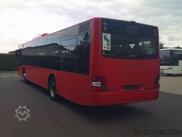 MAN A 20 Lions  City, Deutscher Bus,  ID: 1843