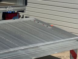 MAN TGE Plane mit LBW 430x220x230cm