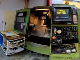 SWL Tischlerplatten SWL Tischlerplatten SWL Tischlerplatten
