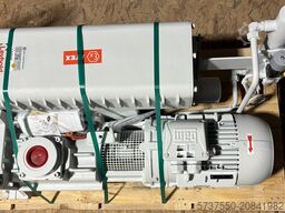 Leybold SV300 B WASSERATEX KAT.2INT Sonder1 GB