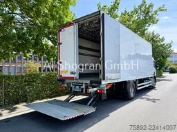 Scania P280 Carrier Supra 850/Rohrbahnen/Eu6/LBW