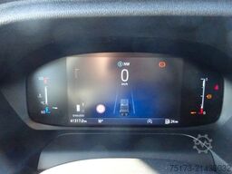 FORD Transit Kasten 350 L3H3 Trend 130PS HA Express