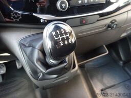 FORD Transit Kasten 350 L3H2 Trend 130PS HA Express