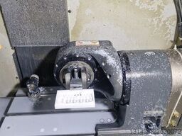 haas dt1