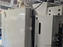 haas dt1