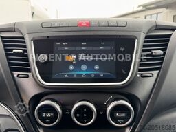 IVECO Daily 70C18A8 TK 2,46m BR THERMOKI AUT LED KLIMA