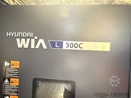 Hyundai Wia L300C