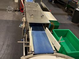 Fuji Packaging / Loma Systems Complete FW3410CX Packing Line