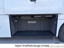 NEOPLAN Cityliner Cityliner / P16 Coach  / 230 V / R08 /