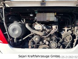 NEOPLAN Cityliner Cityliner / P16 Coach  / 230 V / R08 /