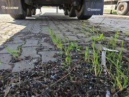 KRONE Gardine Standard Coiler, Lift, BPE Trommel