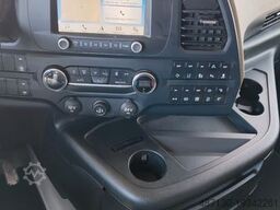 FORD F-MAX 500