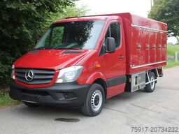 MERCEDES-BENZ Sprinter 310 Cold Car -33°C ATP 02/28