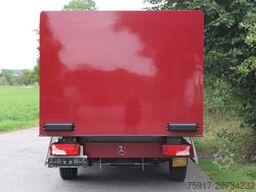 MERCEDES-BENZ Sprinter 310 Cold Car -33°C ATP 02/28