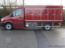 MERCEDES-BENZ Sprinter 310 Euro 6 Cold Car -33°C ATP 09/29
