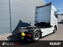 DAF XG 480 FT SpurH