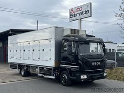 IVECO EC ML120EL22 6,65mEISWAGEN ThermoKingV500MAX ACC