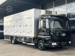 IVECO EC ML120EL22 6,65mEISWAGEN ThermoKingV500MAX ACC