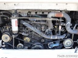 Temsa LD 13 C / Tourmalin