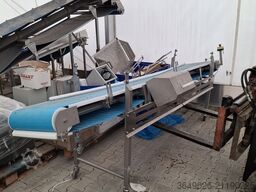 Faste Transporter Taśmowy L=4000