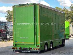  Cuppers LVA 09-16 AL 3-Stock Viehanhänger,