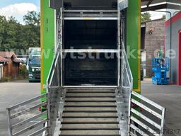 MAN TGX 26.440 6x2 3.Stock Cuppers Komplett-Zug