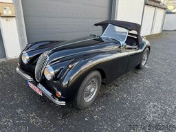 JAGUAR XK 140 CABRIO