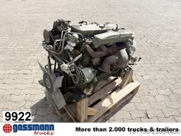 Mercedes-Benz OM 366A Motor, 6-Zylinder