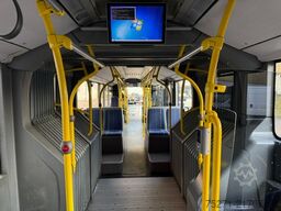 MERCEDES-BENZ Citaro C2 G 2 Fahrzeuge