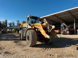LIEBHERR L580 X power