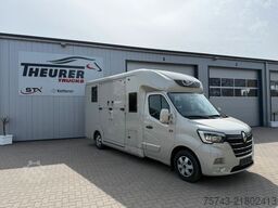 RENAULT Master STX 5 Sitzer Haras /Hengste