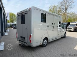 RENAULT Master STX 5 Sitzer Haras /Hengste