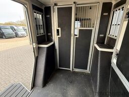 RENAULT Master STX 5 Sitzer Haras /Hengste