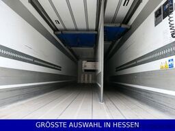 SCHMITZ CARGOBULL Multi Temp Türen LBW Lift + Lenkachse  ¤749.-m