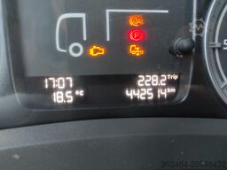 DAF LF 18T LF 320 CV con gru EFFER