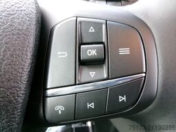 FORD Transit 350 L3H3 4x4 Kasten Stndzh AHK Xenon