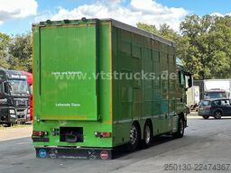 MAN TGX 26.440 6x2 3.Stock Cuppers, Lenk-/Lift