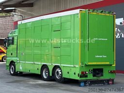 MAN TGX 26.440 6x2 3.Stock Cuppers, Lenk-/Lift
