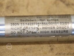 GSL German Standard Lift 250N 11/14287251554/00101