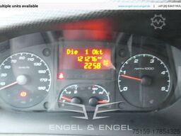 iveco Daily 35 S11 C30C AUTOMATIK KAMERA MAXI KAMERA Regale LUFT - EURO 5 - CoC