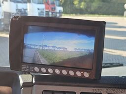 VOLVO FL 250.12