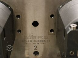 Hainbuch 