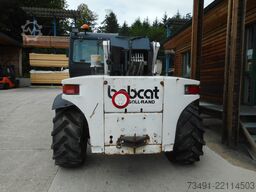 Bobcat 3071