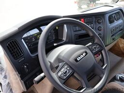 DAF XB 290 FA 16 ton - SCARRABILE A GANCIO