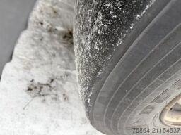 SCANIA P380   LB6 DAZU SCHUCH ASZ10011