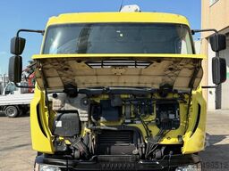 Renault D220