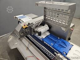 MAREL TSM 2 Profiler