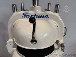 Fortuna 3