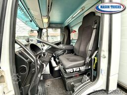 Iveco Eurocargo 180-320P