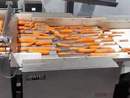 Newtec CELOX optical sorting machine